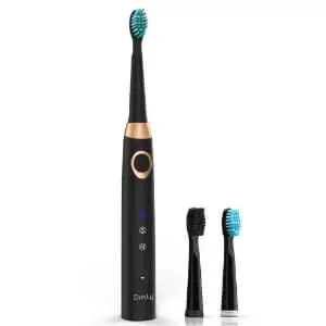 Dnsly Sonic Rechargeable Electric Toothbrush