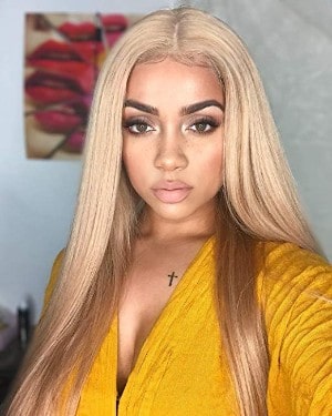 FUHSI Kanekalon Fiber Straight Lace Front Wig