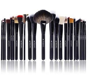 Shany The Masterpiece Pro Signature Brush Set