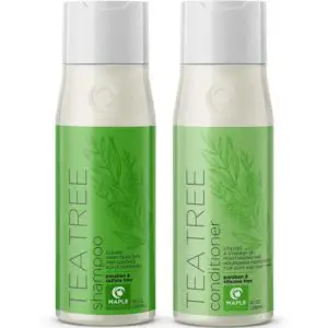 Tea Tree Sulfate Fre Shampoo and Conditioner for Color Treated Hair