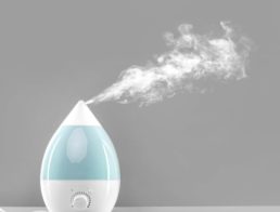 The Best Humidifiers