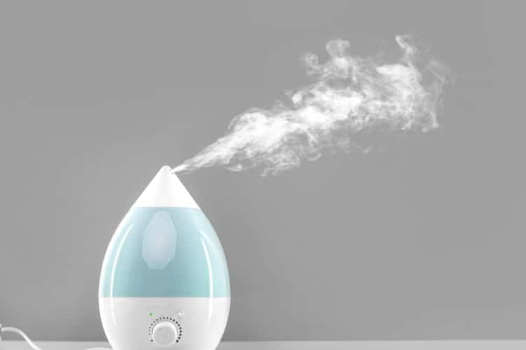 best humidifier for large house