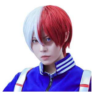 FantaLook Short Half Silver White Half Red Cosplay Wig