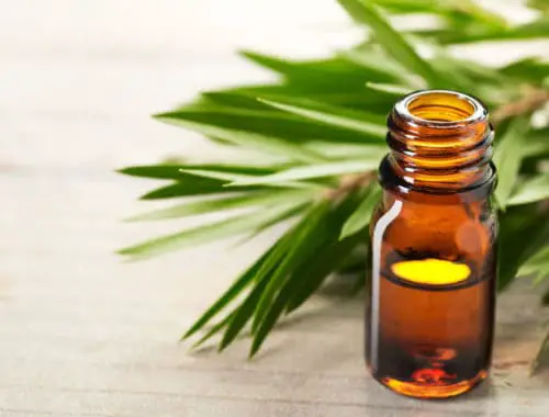 The Best Tea Tree Oils for Acne
