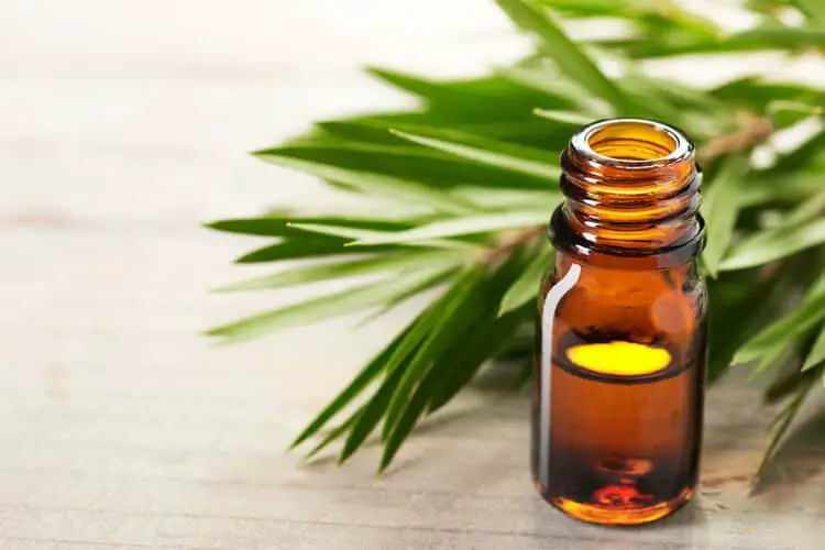 The Best Tea Tree Oils for Acne