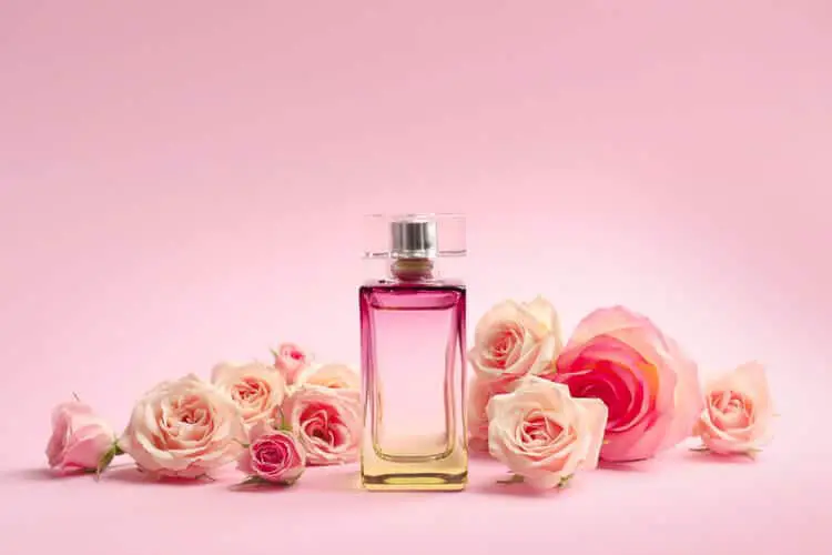The Best Perfumes for Women